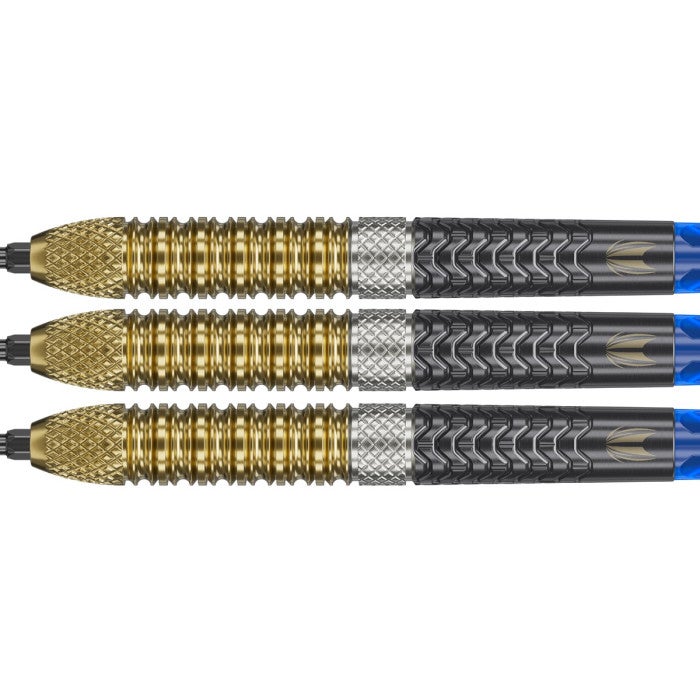 Target Raymond van Barneveld G6 95% Swiss